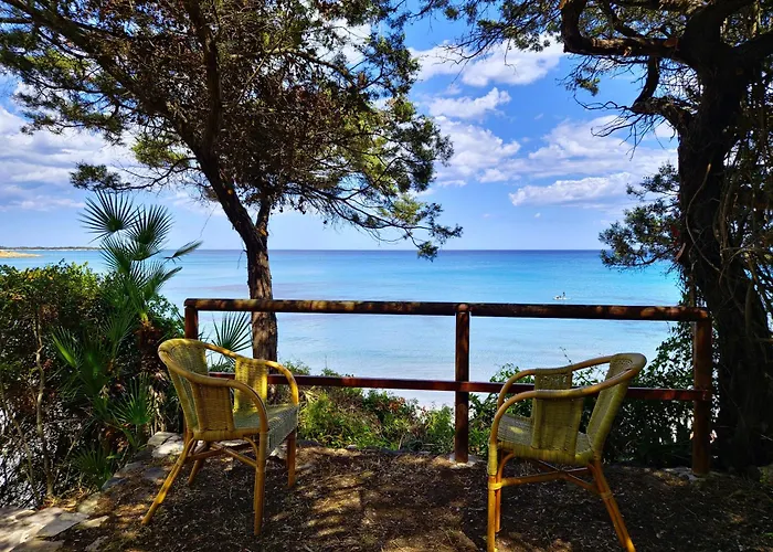 Papiyon - Accesso Privato * كالا ليبيروتو